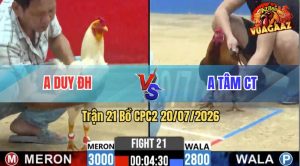 Trận 21 CPC2 20/07/2026 – Anh Duy ĐH Hạ Anh Tâm CT Lật Xe Tại Chỗ
