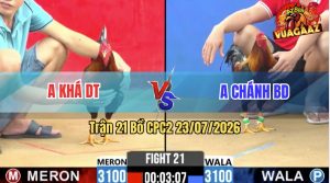 Trận 21 CPC2 23/07/2026 – Anh Khá DT Thành Công Đánh Bại Anh Chánh