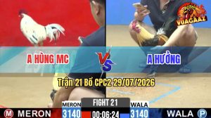Trận 21 CPC2 29/07/2026 – Anh Hưởng Đánh Bại Anh Hùng Dễ Dàng