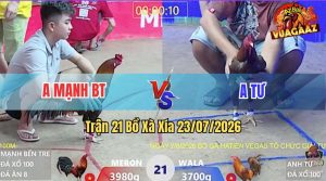 Trận 21 Xà Xía 23/07/2026 – Gà Khét Cọp Chấp Anh Kiểm Cà Mau 3 Chấm