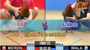 Trận 22 CPC2 23/07/2026 – Anh Tâm SG Hạ Gục Anh Bi Nằm 1 Đống