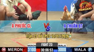 Trận 23 CPC2 13/07/2026 – Gà Cú Anh Thuần Có Pha Lội Ngược Dòng