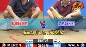 Trận 23 CPC2 14/07/2026 – Anh Điền HM Làm Thịt Anh Mạnh Nhanh Gọn