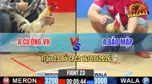 Trận 23 CPC2 16/07/2026 – Mẻ Gà Hiệu Idol Bảo Đá 3 Chân Lụm Tiền