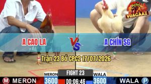 Trận 23 CPC2 17/07/2026 – Gà Điều Anh Cao Long An Đâm Như Sát Thủ