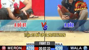 Trận 23 CPC2 20/07/2026 – Anh Đào Bị Phóng Bạc Mà Vẫn Về Bờ Dễ Dàng