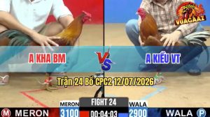 Trận 24 CPC2 12/07/2026 – Gà Vàng Anh Kiều Đá Đối Thủ Không Kịp Thở