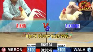 Trận 24 CPC2 14/07/2026 – Gà Úa Anh Kha Gồng Gánh Tới Cuối Cứu Chủ