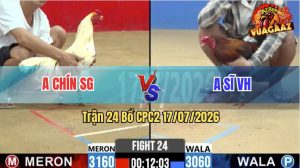 Trận 24 CPC2 17/07/2026 – Gà Điều Anh Sĩ Đá Trả 1 Cây Ngay Đầu Cần