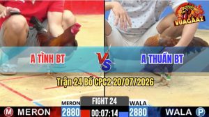 Trận 24 CPC2 20/07/2026 – Gà Điều Anh Tình Đá Đâm Như Phát Xít