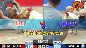 Trận 24 CPC2 21/07/2026 – Gà Bướm Anh Quang Đá Khôn Như Người Ta
