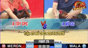 Trận 25 CPC2 20/07/2026 – Anh Vũ Đá Anh Tây Không Có Đường Ra