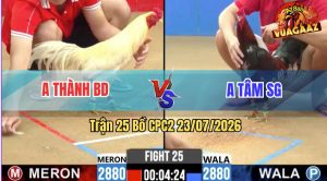 Trận 25 CPC2 23/07/2026 – Gà Úa Anh Thành Trả 1 Cây Cựa Quá Hiểm