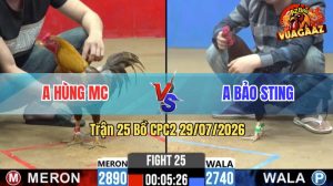Trận 25 CPC2 29/07/2026 – Idol Bảo Sting Tung Gà Cọp Ra Sân