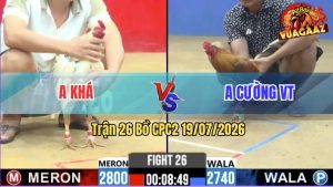 Trận 26 CPC2 19/07/2026 – Gà Khét Anh Cường Đá Cựa Đâm Như Sát Thủ