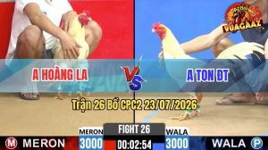 Trận 26 CPC2 23/07/2026 – Anh Ton ĐT Hạ Anh Hoàng Chưa Tới 1 Tay Nước