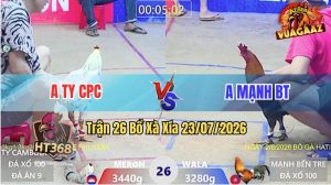 Trận 26 Xà Xía 23/07/2026 – Gà Điều Cọp Anh Mạnh Đá Cựa Quá Khiếp
