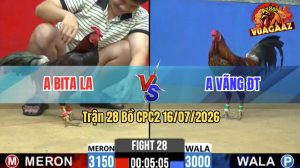Trận 28 CPC2 16/07/2026 – Gà Anh Bita Long An Đá Toàn Cựa Nghiệt