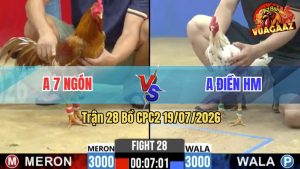 Trận 28 CPC2 19/07/2026 – Gà Khét Đuôi Lao Có Cặp Cán Quá Dâm