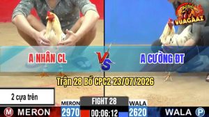 Trận 28 CPC2 23/07/2026 – Anh Nhân CL Chấp Đá 2 Cây Cựa Trên