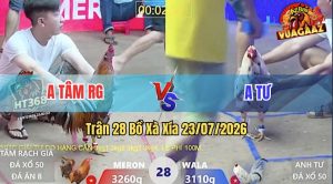 Trận 28 Xà Xía 23/07/2026 – Gà Anh Tư Canh Chặn Khôn Như Người Ta