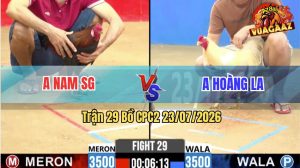 Trận 29 CPC2 23/07/2026 – Gà Bướm Anh Hoàng Đá Đâm Như Sát Thủ