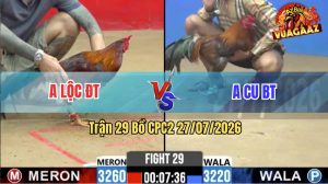 Trận 29 CPC2 27/07/2026 – Gà Anh Lộc Đá Quá Nhanh Quá Nguy Hiểm