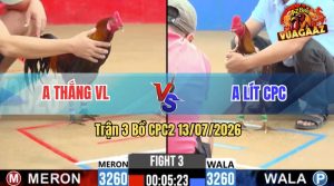 Trận 3 CPC2 13/07/2026 – Gà Xám Anh Lít Đá 1 Cặp Đối Thủ Lật Xe
