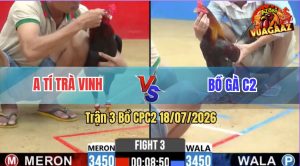 Trận 3 CPC2 18/07/2026 – Gà Anh Tí Trà Vinh Đá 3 Cây Có Kết Quả