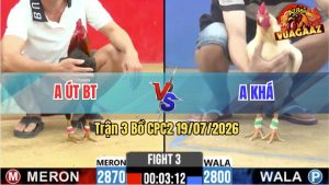 Trận 3 CPC2 19/07/2026 – Gà Úa Anh Khá Tải Cựa Tốt Hạ Anh Út BT