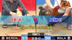 Trận 3 CPC2 24/07/2026 – Gà Điều Anh Tâm Nạp Toàn Chân Cựa Hiểm