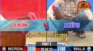 Trận 3 CPC2 29/07/2026 – Gà Anh Hưởng Đá Cái Bo Như Lấy Cây Đập