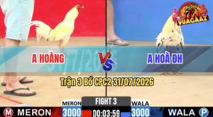 Trận 3 CPC2 31/07/2026 – Anh Hoà ĐH Đá Anh Hoàng Hết Đường Phản