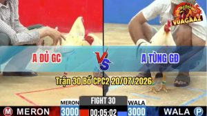 Trận 30 CPC2 20/07/2026 – Gà Anh Đủ Gồng Gánh Cứu Chủ 1 Mạng