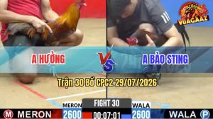Trận 30 CPC2 29/07/2026 – Anh Hưởng Tiếp Tục Lụm Anh Bảo Sting