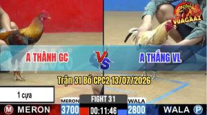Trận 31 CPC2 13/07/2026 – Gà Bướm Anh Thắng Đó Đòn Nhanh Như Điện