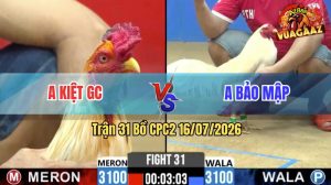 Trận 31 CPC2 16/07/2026 – Anh Kiệt Có Pha Phản Kèo Hạ Anh Bảo