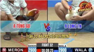 Trận 32 CPC2 13/07/2026 – Gà Bướm Anh Long Đá Chân Nào Cũng Đâm