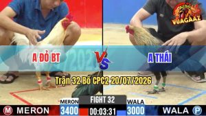 Trận 32 CPC2 20/07/2026 – Gà Bướm Anh Đỏ Đá Quá Nhanh Quá Nguy Hiểm