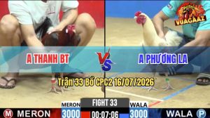 Trận 33 CPC2 16/07/2026 – Gà Úa Anh Phương Đá Đâm Như Đời Tới