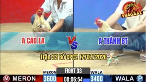 Trận 33 CPC2 17/07/2026 – Gà Anh Thành Đá Cựa Đâm Như Giang Hồ