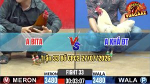 Trận 33 CPC2 27/07/2026 – Gà Điều Anh Bita Đá Cái Bo Quá Khủng Khiếp