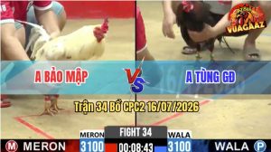 Trận 34 CPC2 16/07/2026 – Anh Tùng Bị Anh Bảo Mập Hạ Trong 1 Nốt Nhạc
