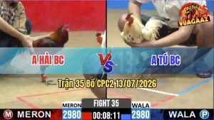 Trận 35 CPC2 13/07/2026 – Gà Điều Đá Bướm Không Thấy Đường Về Nhà