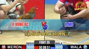 Trận 35 CPC2 16/07/2026 – Gà Xám Anh Mo Lì Đòn, Anh Hùng Không Vô Nổi