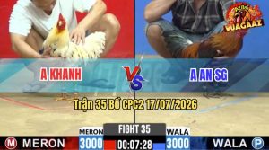 Trận 35 CPC2 17/07/2026 – Gà Bướm Anh Khanh Đá Cựa Đâm Như Đời Tới