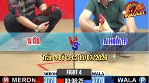 Trận 4 CPC2 13/07/2026 – Gà Bướm Tây Ban Nha Đá Mấy Chân Tậu Nhà
