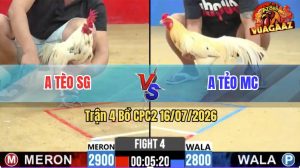 Trận 4 CPC2 16/07/2026 – Gà Anh Tèo SG Đá Đòn Cựa Quá Nghiệt