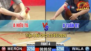 Trận 4 CPC2 23/07/2026 – Gà Điều Anh Tuấn Tung Đòn Liên Hoàn Cước
