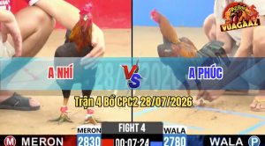 Trận 4 CPC2 28/07/2026 – Anh Nhí Nạp 3 Cước Hạ Gọn Anh Phúc